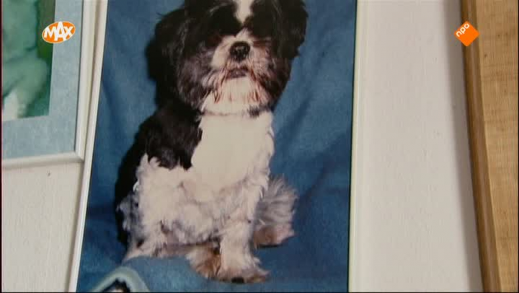 MAX Maakt Mogelijk Special